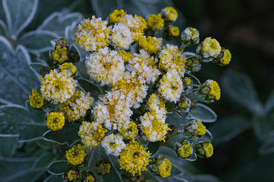 BUITEN BEELD Foto: 15697