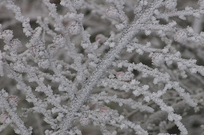 BUITEN BEELD Foto: 15713