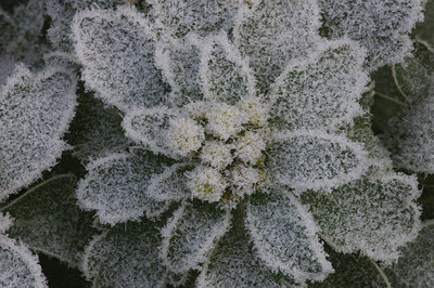 BUITEN BEELD Foto: 15721