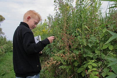 BUITEN BEELD Foto: 15789