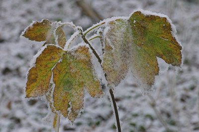 BUITEN BEELD Foto: 15857