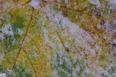BUITEN BEELD Foto: 15864