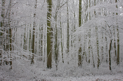 BUITEN BEELD Foto: 15873