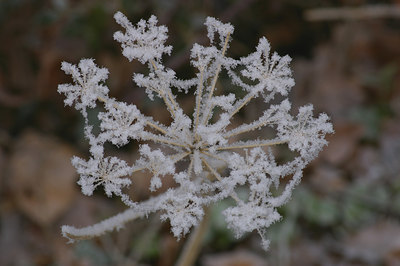 BUITEN BEELD Foto: 15874