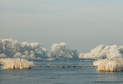 BUITEN BEELD Foto: 15897