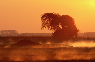 BUITEN BEELD Foto: 15918