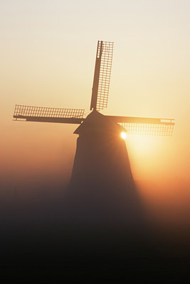 BUITEN BEELD Foto: 15966