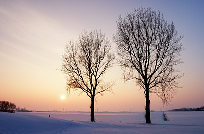 BUITEN BEELD Foto: 15968