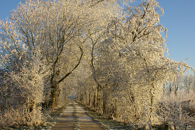 BUITEN BEELD Foto: 15992