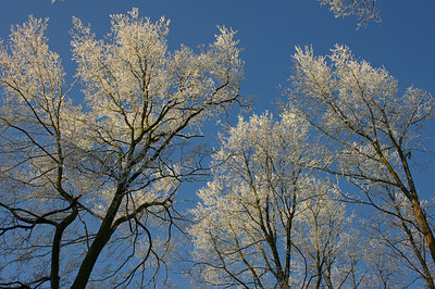 BUITEN BEELD Foto: 15996