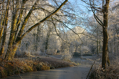 BUITEN BEELD Foto: 15997