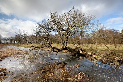 BUITEN BEELD Foto: 159024