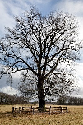 BUITEN BEELD Foto: 159027