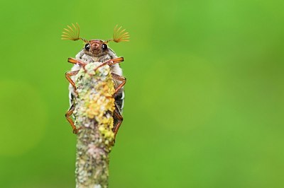 BUITEN BEELD Foto: 159081