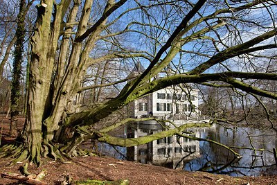 BUITEN BEELD Foto: 159099