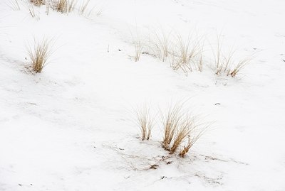BUITEN BEELD Foto: 159138