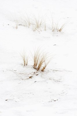 BUITEN BEELD Foto: 159139