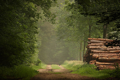 BUITEN BEELD Foto: 159212