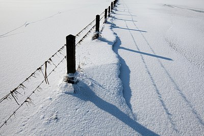 BUITEN BEELD Foto: 159237