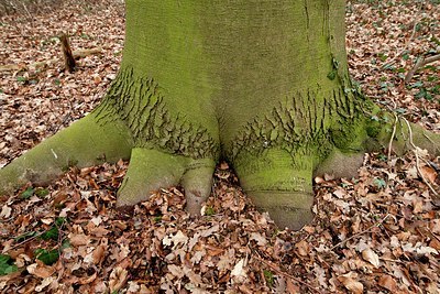 BUITEN BEELD Foto: 159268