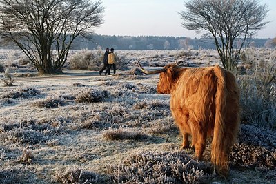 BUITEN BEELD Foto: 159295