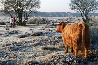 BUITEN BEELD Foto: 159297