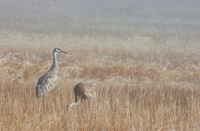 BUITEN BEELD Foto: 159334