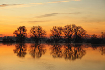 BUITEN BEELD Foto: 159358