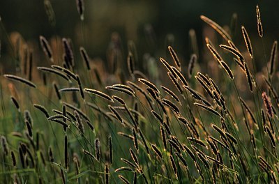BUITEN BEELD Foto: 159426