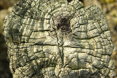 BUITEN BEELD Foto: 159453