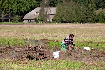 BUITEN BEELD Foto: 159457