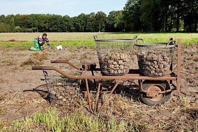 BUITEN BEELD Foto: 159458