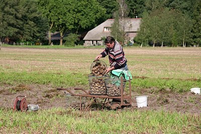 BUITEN BEELD Foto: 159460