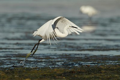 BUITEN BEELD Foto: 159475