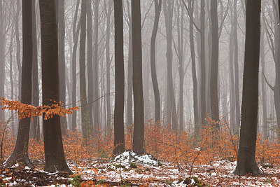 BUITEN BEELD Foto: 159507