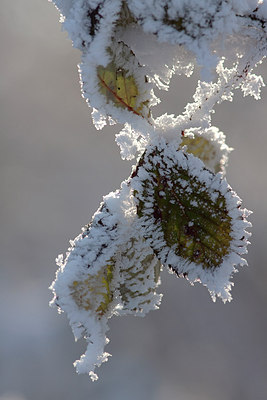 BUITEN BEELD Foto: 159516