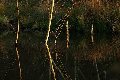 BUITEN BEELD Foto: 159544
