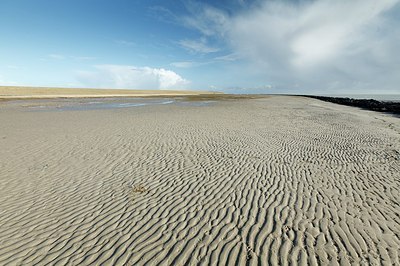BUITEN BEELD Foto: 159547