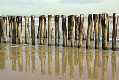 BUITEN BEELD Foto: 159571