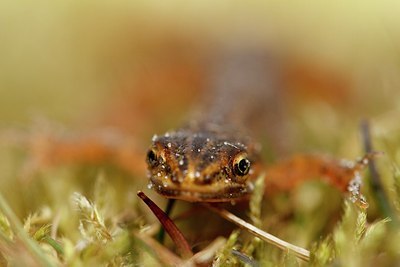 BUITEN BEELD Foto: 159580