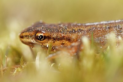 BUITEN BEELD Foto: 159581