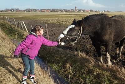 BUITEN BEELD Foto: 159584
