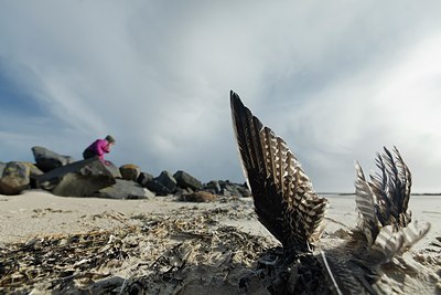 BUITEN BEELD Foto: 159587