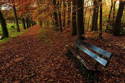 BUITEN BEELD Foto: 159598