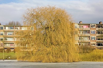 BUITEN BEELD Foto: 159622