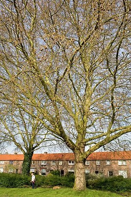 BUITEN BEELD Foto: 159626