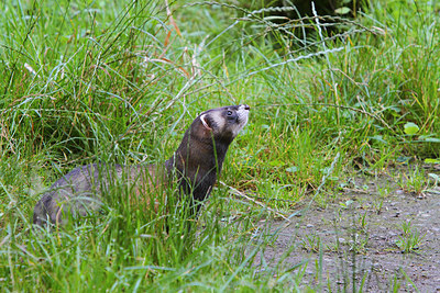 BUITEN BEELD Foto: 159668