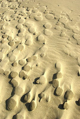 BUITEN BEELD Foto: 159670