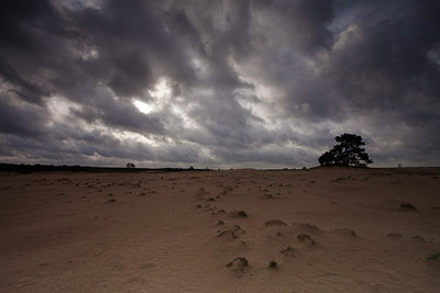 BUITEN BEELD Foto: 159715