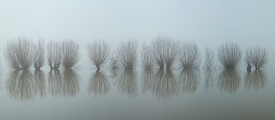 BUITEN BEELD Foto: 159718